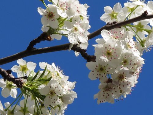 Copic camp picture 009