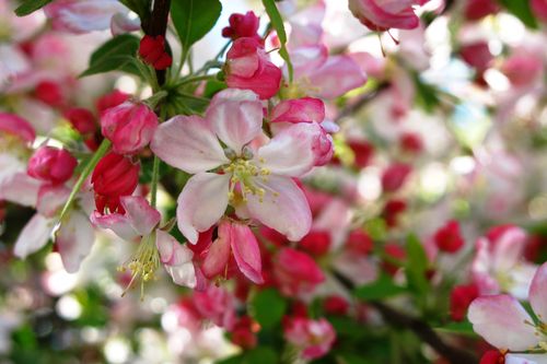 Copic camp picture 027