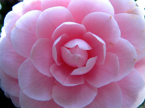 Copic camp picture 007