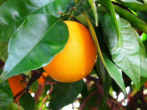 Copic camp picture 018