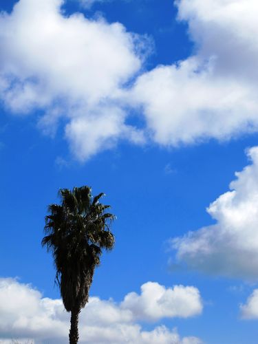 Copic camp picture 020