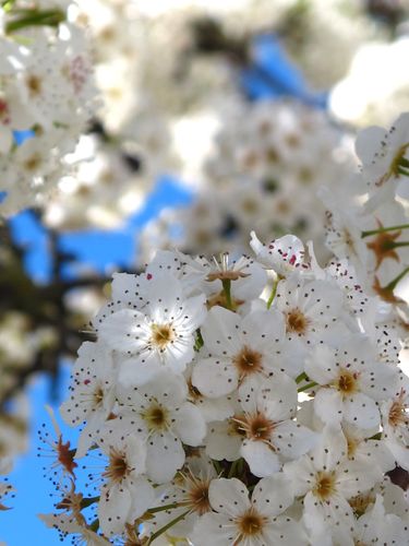 Copic camp picture 038