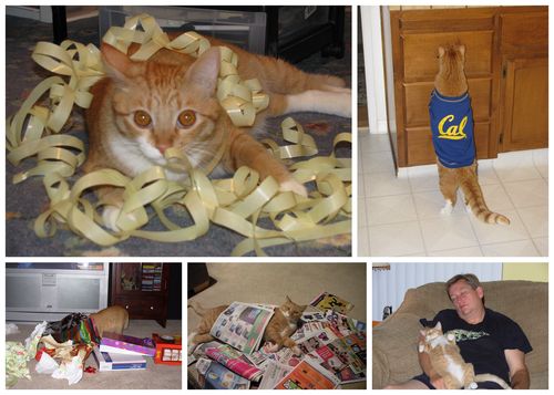 Buddy's birthday blog5