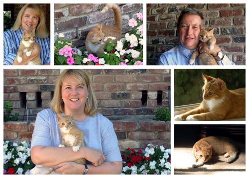 Buddy's birthday blog4