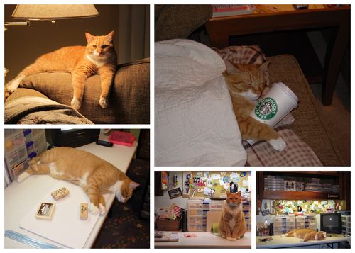 Buddy's birthday blog7