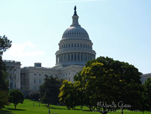 US CAPITOL 1