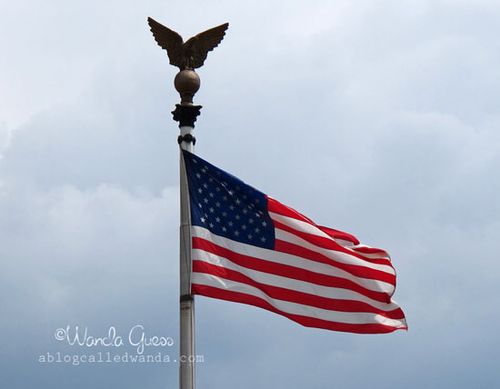 FLAG 1