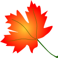 Maple-leaf