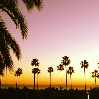 image from https://ablogcalledwanda.com/wp-content/images/6a0120a7861a18970b0168e6560d39970c-pi.jpg