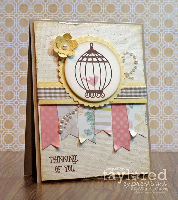 Birdcage3 copy Birdcage3 copy