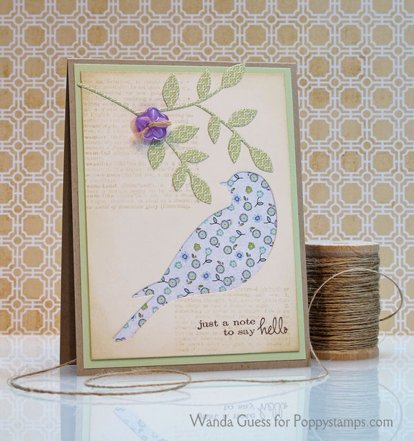 IMG_3113 copy IMG_3113 copy