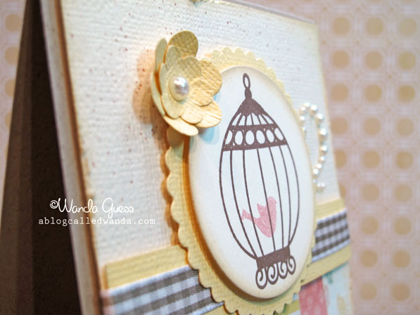 Birdcage13 Birdcage13