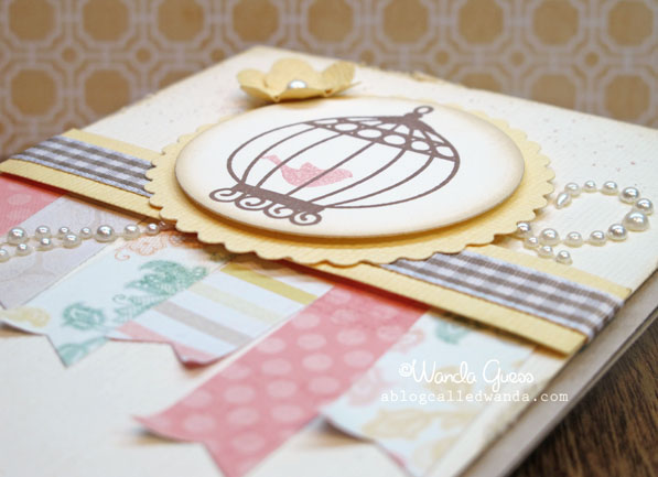 Birdcage15 Birdcage15