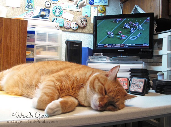 10_edited-1 10_edited-1