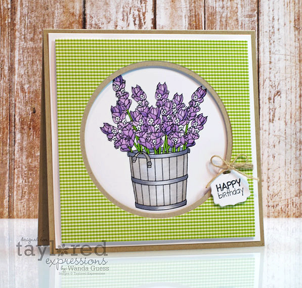 WANDAlavenderWEDNESDAY1