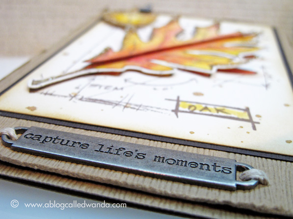 1 ablogcalledwanda.com Tim Holtz Leaf Card