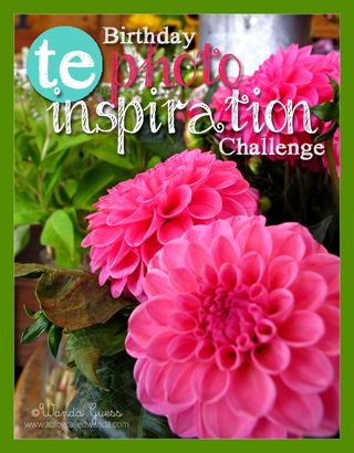 TESInspirationPhotoChallenge