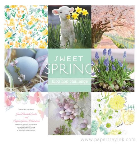 6a00d8341c64e753ef01a3fcbf3ce8970b-450wi