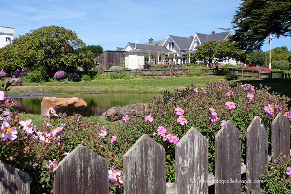 Mendocino