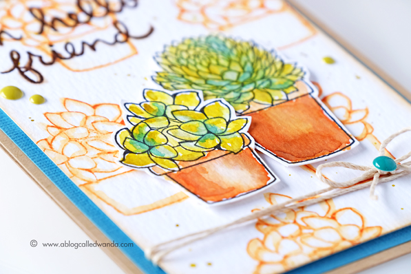 Hero Arts succulent stamps. Card by Wanda Guess. Distress Ink Watercoloring Hero Arts succulent stamps. Card by Wanda Guess. Distress Ink Watercoloring