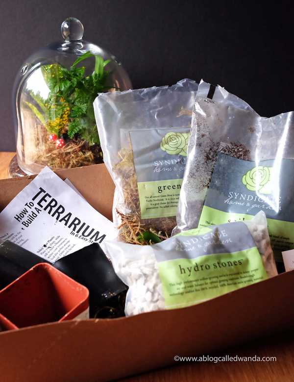 make your own terrarium