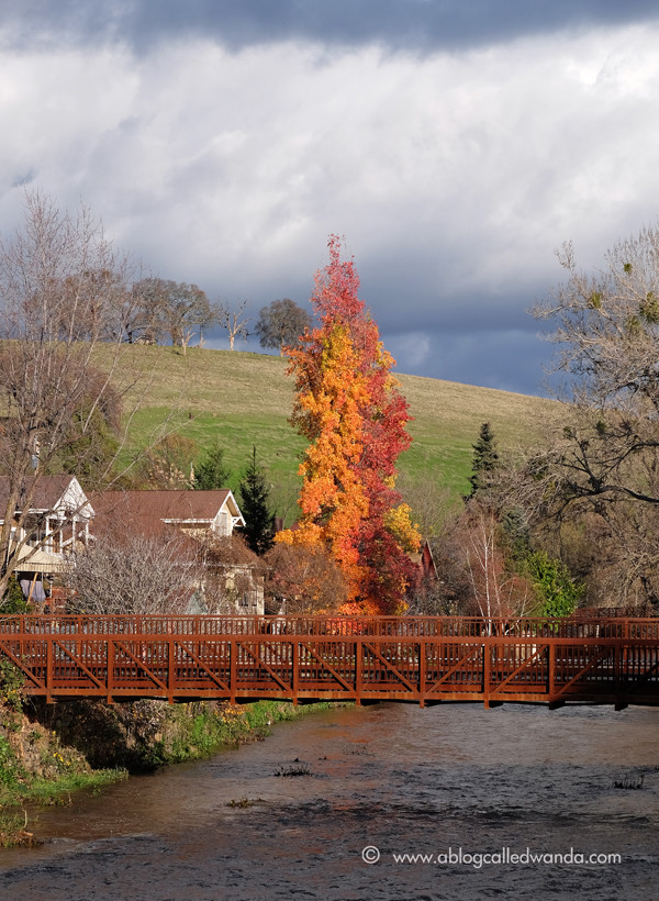 8 SUTTER CREEK HOTEL