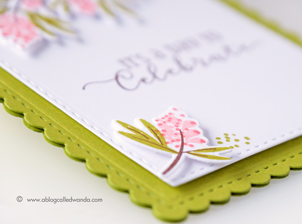 PTI Beautiful Berries stamps and dies. Birthday card by Wanda Guess. March 2017 release week.