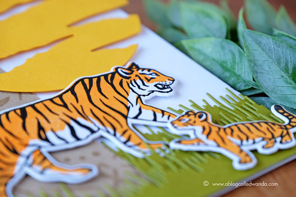 Hero Arts My Monthly Hero Card Kit. June 2017 Safari/Jungle theme. Tigers card by Wanda Guess. Blog Hop Hero Arts My Monthly Hero Card Kit. June 2017 Safari/Jungle theme. Tigers card by Wanda Guess. Blog Hop