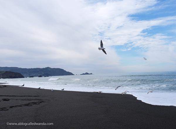 Pacifica California. Highway One central coast Pacifica California. Highway One central coast