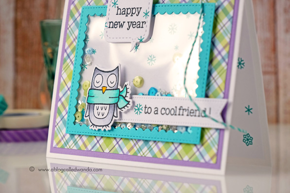 Shaker card by Wanda Guess. For the PPP blog hop. Sequins and MFT plaid paper. Lawn Fawn stamps Shaker card by Wanda Guess. For the PPP blog hop. Sequins and MFT plaid paper. Lawn Fawn stamps