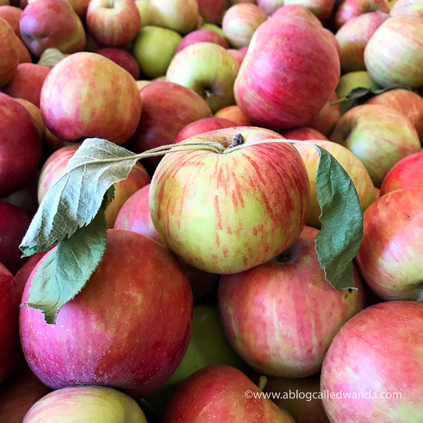 Apple Hill California