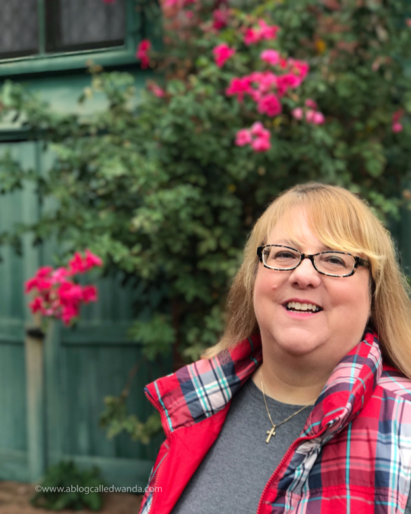 Wanda Guess - A Blog Called Wanda