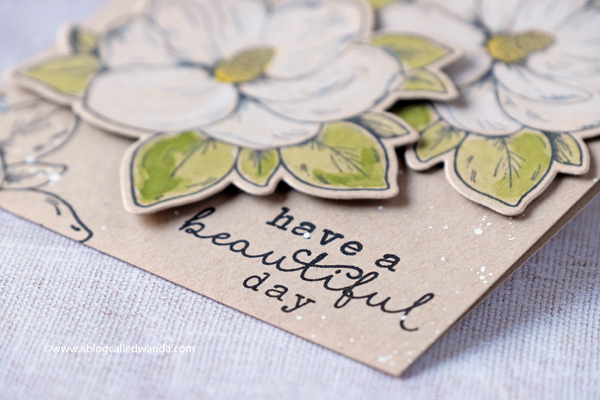 Hero Arts blog hop - new stamps. Flowers with watercolors
