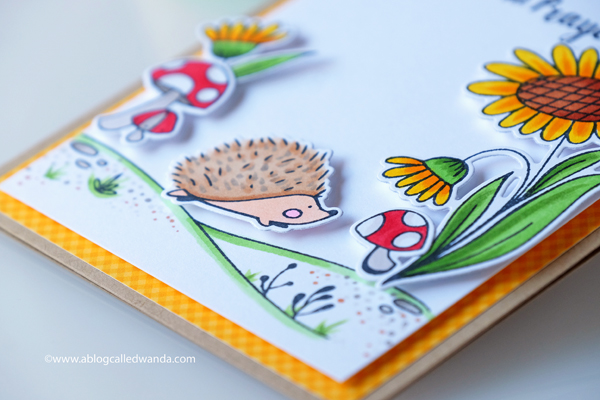 Waffle flower hedgehog