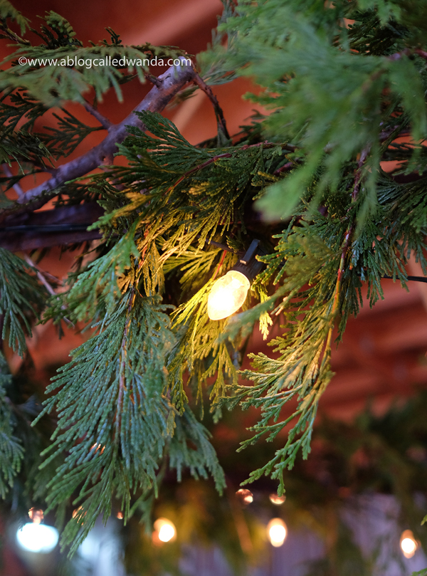 2 H3 Barn Market Rescue California