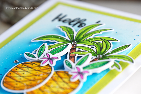 Wplus9 stamps and dies