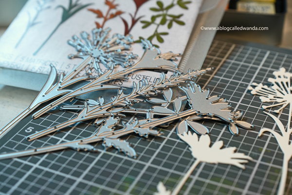 SIZZIX TIM HOLTZ DIES