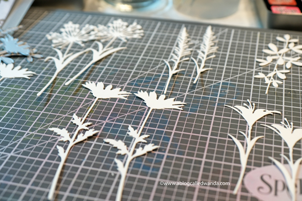 TIM HOLTZ WILDFLOWERS