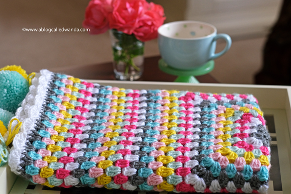 Granny square blanket. Caron Simply Soft Yarn. Scallop Border stitch crochet project by Wanda Guess