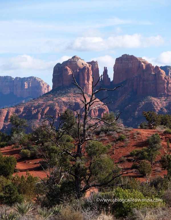 Sedona Arizona, red rocks, arizona tourism, where to go in arizona, desert, wanda guess, a blog called wanda