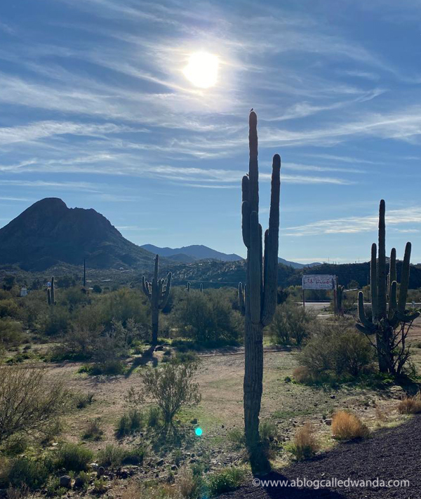 Sedona Arizona, red rocks, arizona tourism, where to go in arizona, desert, wanda guess, a blog called wanda