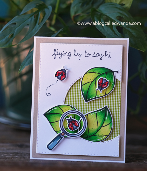 Lawn Fawn Hey Lady stamp set. Copic Coloring. Ladybugs. 30 day coloring challenge. Lawn Fawn card ideas. Gingham paper. CAS card layout. Lawn Fawn Hey Lady stamp set. Copic Coloring. Ladybugs. 30 day coloring challenge. Lawn Fawn card ideas. Gingham paper. CAS card layout.