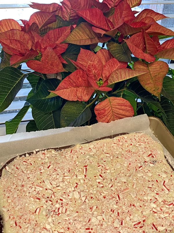 Peppermint Bark Recipe. How to make peppermint bark and christmas treats. wanda guess