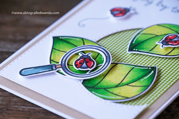 Lawn Fawn Hey Lady stamp set. Copic Coloring. Ladybugs. 30 day coloring challenge. Lawn Fawn card ideas. Gingham paper. CAS card layout. Lawn Fawn Hey Lady stamp set. Copic Coloring. Ladybugs. 30 day coloring challenge. Lawn Fawn card ideas. Gingham paper. CAS card layout.