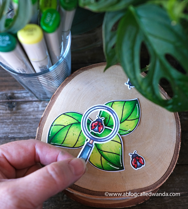 Lawn Fawn Hey Lady stamp set. Copic Coloring. Ladybugs. 30 day coloring challenge. Lawn Fawn card ideas. Gingham paper. CAS card layout. Lawn Fawn Hey Lady stamp set. Copic Coloring. Ladybugs. 30 day coloring challenge. Lawn Fawn card ideas. Gingham paper. CAS card layout.