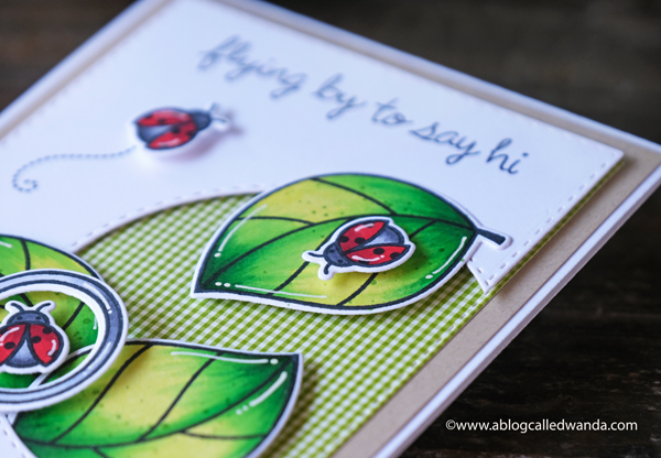 Lawn Fawn Hey Lady stamp set. Copic Coloring. Ladybugs. 30 day coloring challenge. Lawn Fawn card ideas. Gingham paper. CAS card layout. Lawn Fawn Hey Lady stamp set. Copic Coloring. Ladybugs. 30 day coloring challenge. Lawn Fawn card ideas. Gingham paper. CAS card layout.