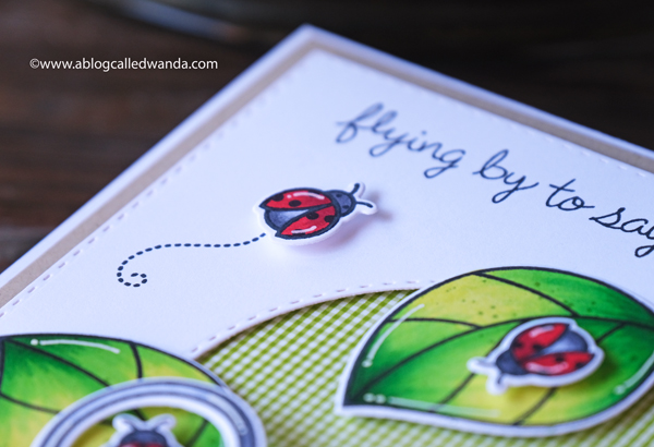 Lawn Fawn Hey Lady stamp set. Copic Coloring. Ladybugs. 30 day coloring challenge. Lawn Fawn card ideas. Gingham paper. CAS card layout. Lawn Fawn Hey Lady stamp set. Copic Coloring. Ladybugs. 30 day coloring challenge. Lawn Fawn card ideas. Gingham paper. CAS card layout.