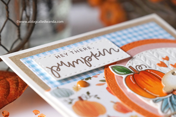 mft stamps, my favorite things stamps and dies, mft sweetie pie, mft autumn blessings, fall card, autumn card, dies, stamps, copics, card layout, taylored expressions cable knit embossing folder, gingham, echo park happy fall, carta bella hello autumn, patterned paper, pumpkin pie, handmade card ideas, wanda guess, a blog called wanda