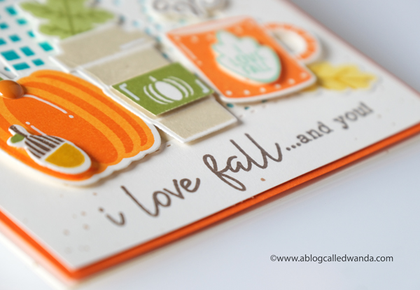 Catherine Pooler stamps and dies. Pumpkin Season Stamp Set. Petal cover plate. Fall card ideas. Club Sursee. CP inks, Wanda Guess