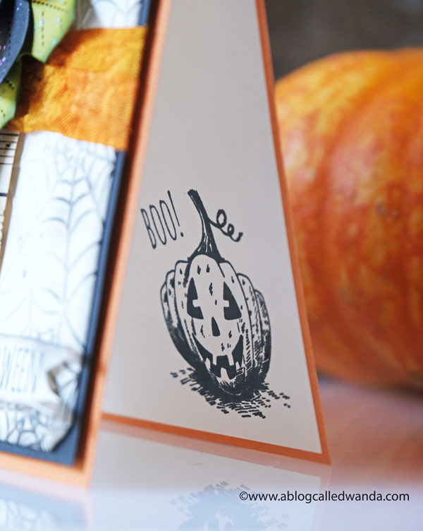 Halloween card ideas. Pretty Pink Posh, Tim Holtz, Distress Inks, Webs embossing folder, Taylored Expressions, Hand dyed ribbon, Halloween charms. Wanda Guess